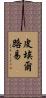 Pierrelouis Scroll