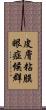 皮膚粘膜眼症候群 Scroll