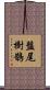 盤尾樹鵲 Scroll