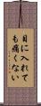 目に入れても痛くない Scroll