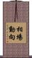 相場動向 Scroll