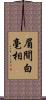 眉間白毫相 Scroll
