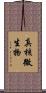 真核微生物 Scroll