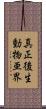 真正後生動物亜界 Scroll
