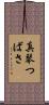 真琴つばさ Scroll