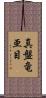 真盤竜亜目 Scroll