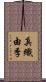 真織由季 Scroll