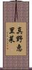 真野恵里菜 Scroll