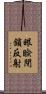眼瞼閉鎖反射 Scroll