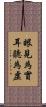 眼見為實，耳聽為虛 Scroll