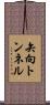 矢向トンネル Scroll