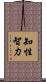 知性智力 Scroll