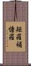矩羅補憺羅 Scroll