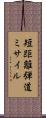 短距離弾道ミサイル Scroll