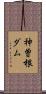 神曽根ダム Scroll