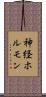 神経ホルモン Scroll