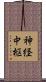 神経中枢 Scroll