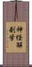 神経解剖学 Scroll