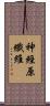 神經原纖維 Scroll