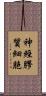 神經膠質細胞 Scroll