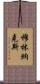 Mullinax Scroll