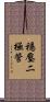 穩壓二極管 Scroll