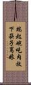 端起碗吃肉，放下筷子罵娘 Scroll