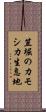 笠堀のカモシカ生息地 Scroll