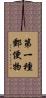 第一種郵便物 Scroll
