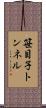 笹目子トンネル Scroll