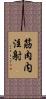 筋肉内注射 Scroll