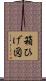 箱ひげ図 Scroll