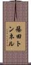 篠田トンネル Scroll