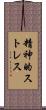 精神的ストレス Scroll