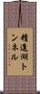 精進湖トンネル Scroll