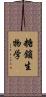 糖鎖生物学 Scroll