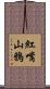 紅嘴山鴉 Scroll