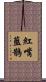 紅嘴藍鵲 Scroll