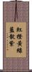 紅橙黃綠藍靛紫 Scroll