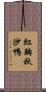 紅胸秋沙鴨 Scroll