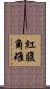 紅腹角雉 Scroll