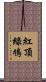 紅頂綠鳩 Scroll