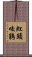 紅頭咬鵑 Scroll