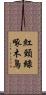 紅頸綠啄木鳥 Scroll