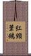 紅頸葦鵐 Scroll
