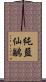 純藍仙鶲 Scroll