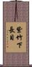 紫竹下長目 Scroll