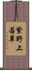紫野上若草 Scroll