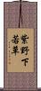 紫野下若草 Scroll
