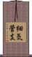 細気管支 Scroll